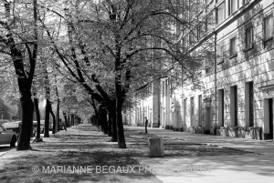 Maianne_Begaux_Allée