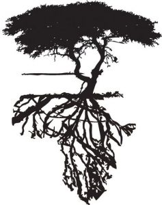 Dessin de tatouage d'arbre dont les racines dessinent la carte de l'Afrique, source : Pinterest