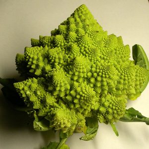 Chou Romanesco, fractale naturelle, Roger Prat, commons.wikimedia