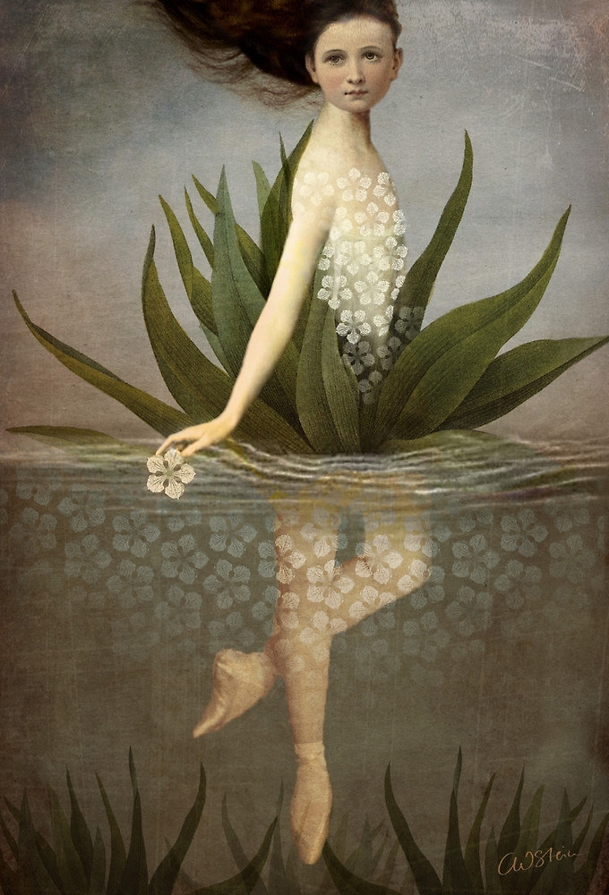 Catrin Welz-Stein, Floating Flower, source : catrinwelzstein.blogspot.be