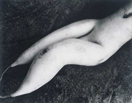 Edward Weston, White radish, pinterest.com