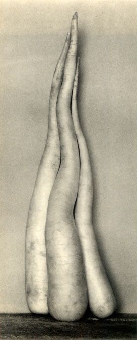 Edward Weston, White radishes