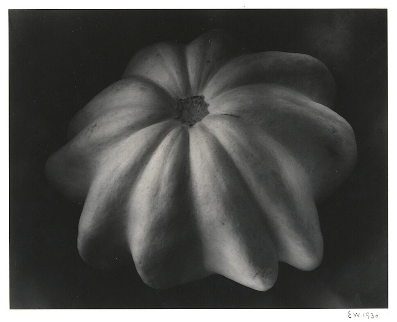 Edward Weston, Winter squash, 1930, artnet.com