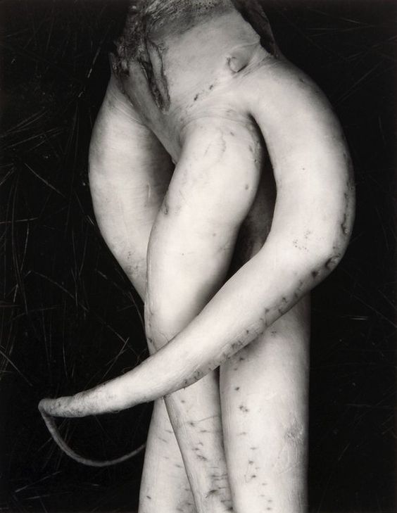 Edward Weston, White Radish, pinterest.com