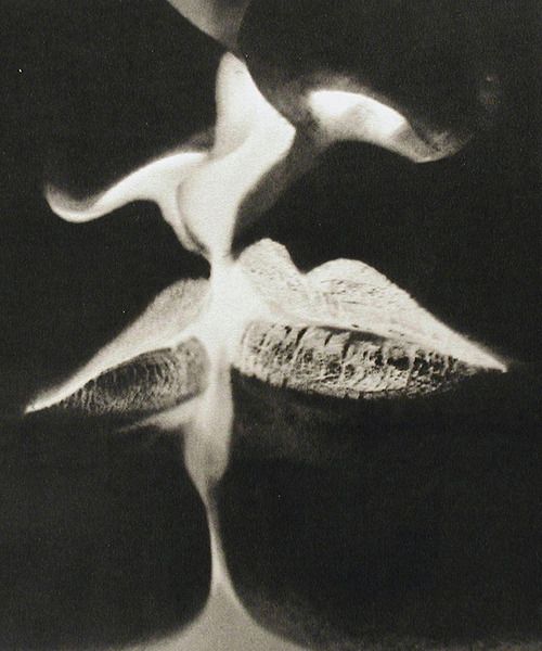 Man Ray, Negative Kiss, 1935, pinterest.com